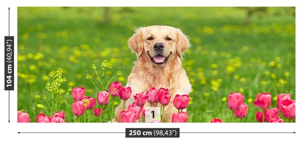 Fototapet Dog Lalele