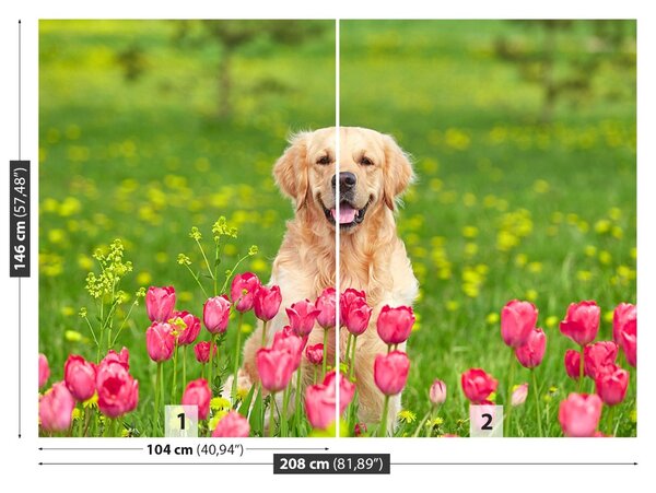 Fototapet Dog Lalele