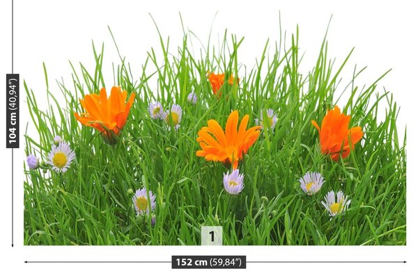Fototapet Paste Flori