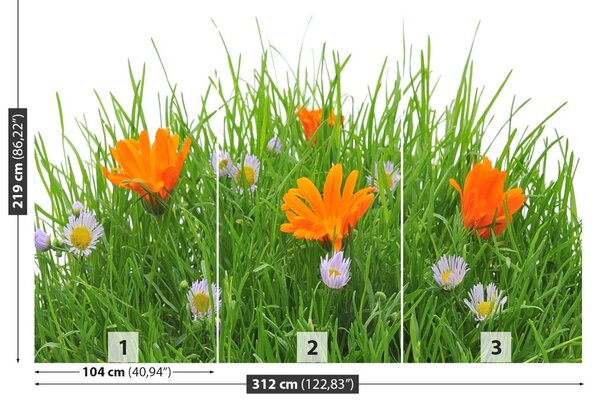 Fototapet Paste Flori