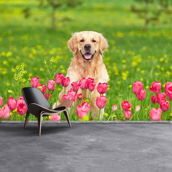 Fototapet Dog Lalele