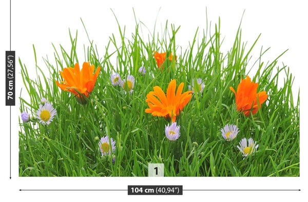 Fototapet Paste Flori