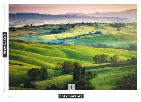 Fototapet Meadows italian
