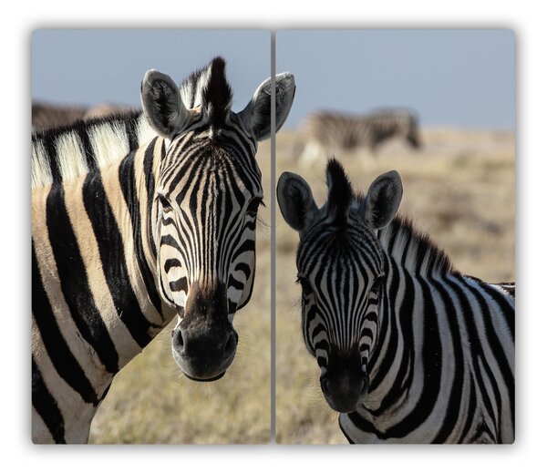 Tocator din sticla două zebre