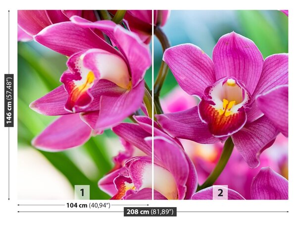 Fototapet roz Orhidee