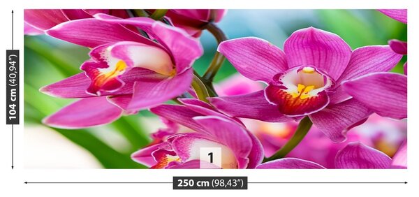 Fototapet roz Orhidee