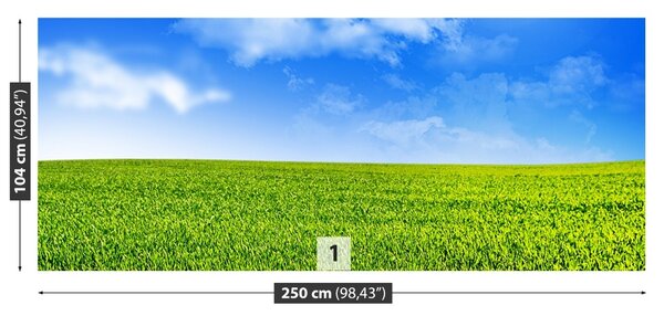 Fototapet Iarbă verde
