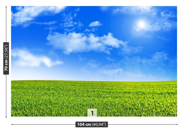 Fototapet Iarbă verde