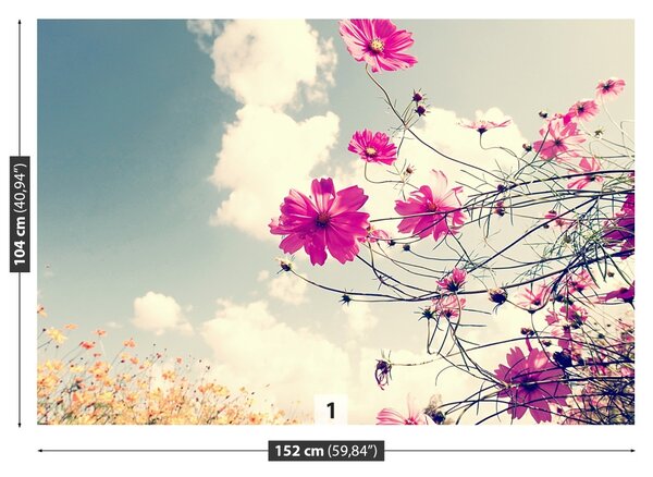 Fototapet Cosmos Flori