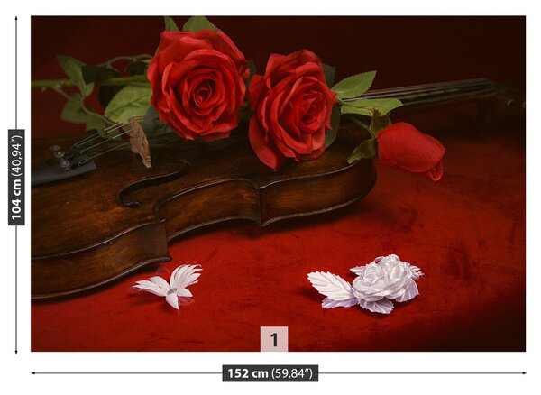 Fototapet Vioara Roses