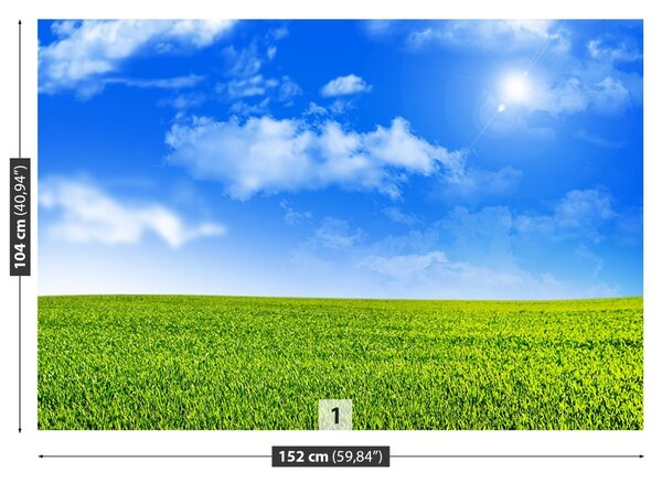 Fototapet Iarbă verde