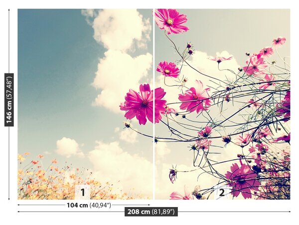 Fototapet Cosmos Flori