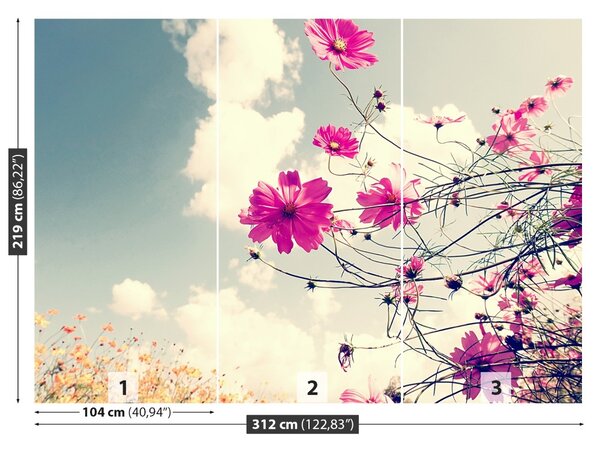 Fototapet Cosmos Flori
