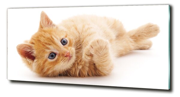 Tablou Printat Pe Sticlă Red Cat
