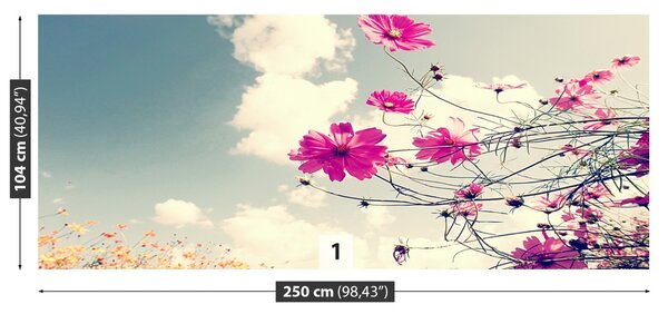 Fototapet Cosmos Flori