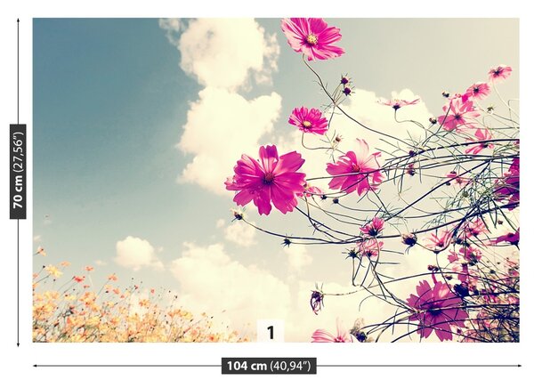 Fototapet Cosmos Flori