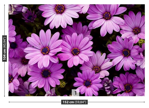 Fototapet Violet Flori