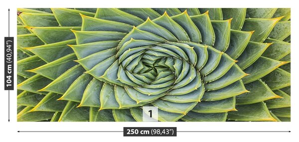 Fototapet Aloe Simetria