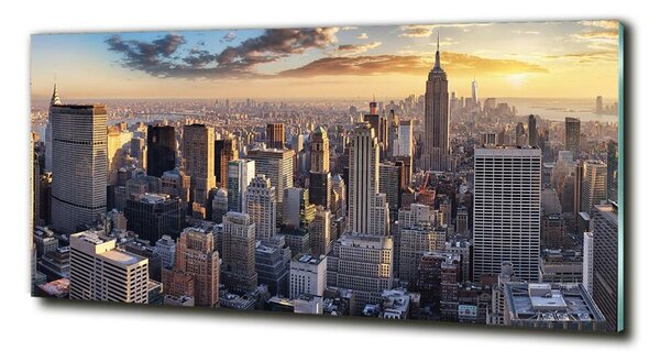 Imagine de sticlă New York pasăre de zbor