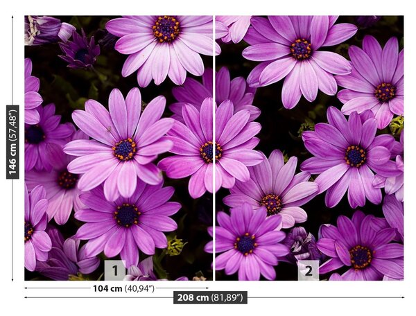 Fototapet Violet Flori