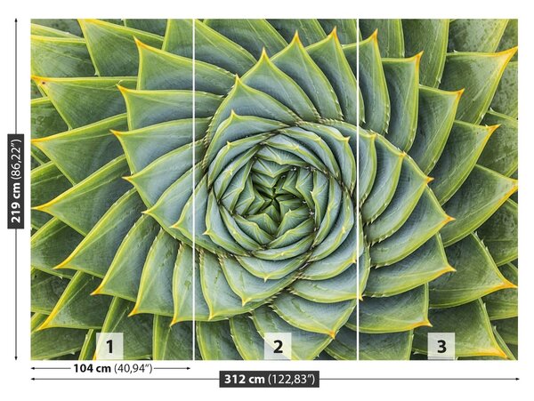 Fototapet Aloe Simetria