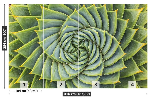 Fototapet Aloe Simetria