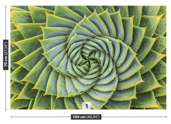 Fototapet Aloe Simetria