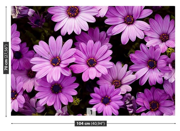 Fototapet Violet Flori