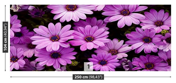 Fototapet Violet Flori