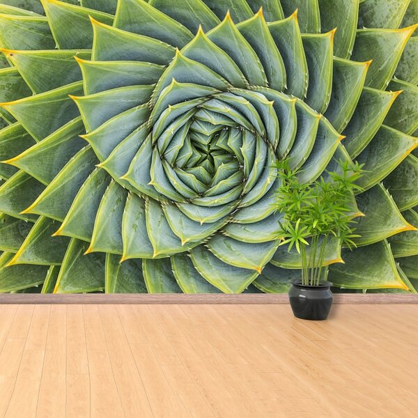 Fototapet Aloe Simetria