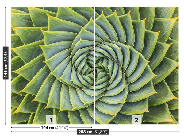 Fototapet Aloe Simetria