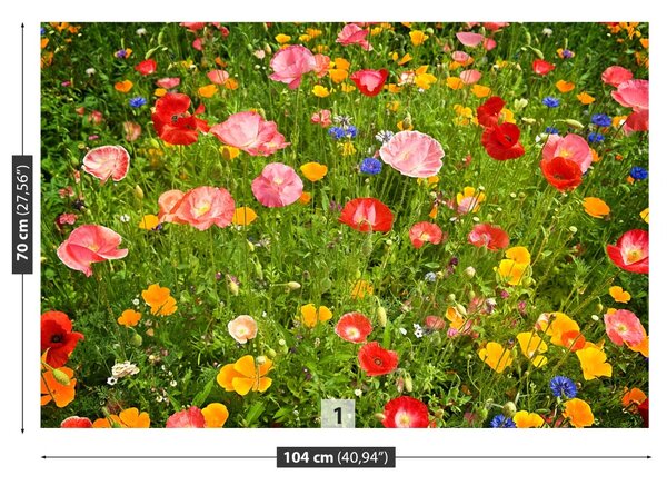Fototapet Flori Meadow