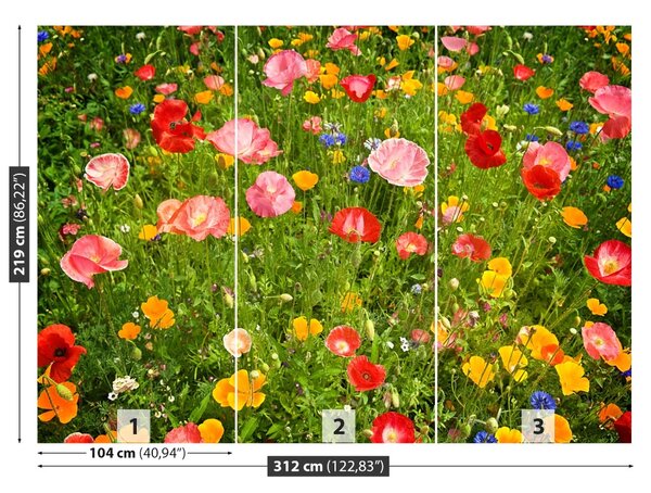 Fototapet Flori Meadow