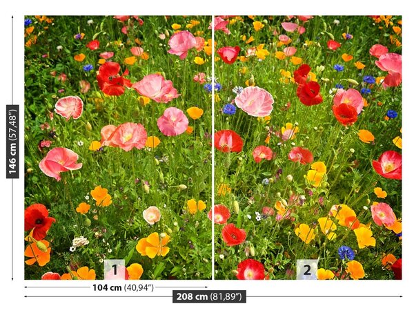 Fototapet Flori Meadow