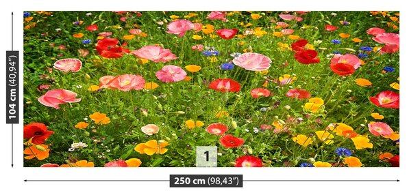 Fototapet Flori Meadow