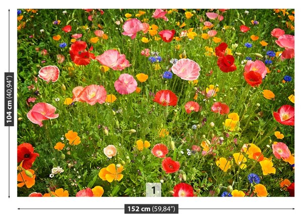 Fototapet Flori Meadow