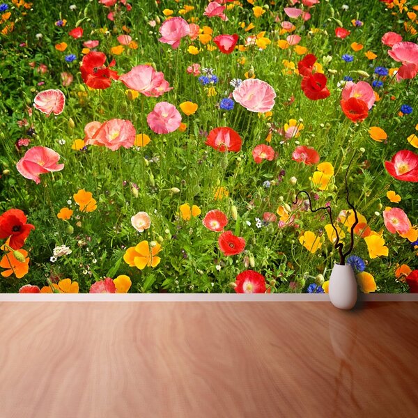 Fototapet Flori Meadow