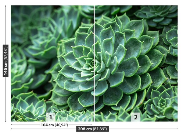 Fototapet Green Cactus