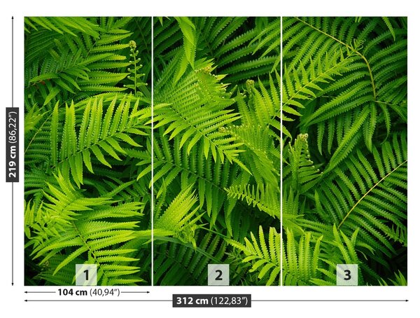 Fototapet Green Fern