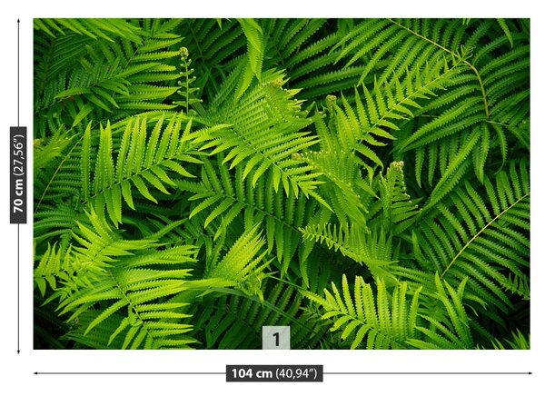 Fototapet Green Fern