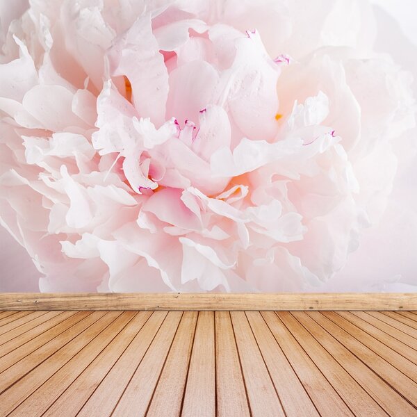 Fototapet roz Peony