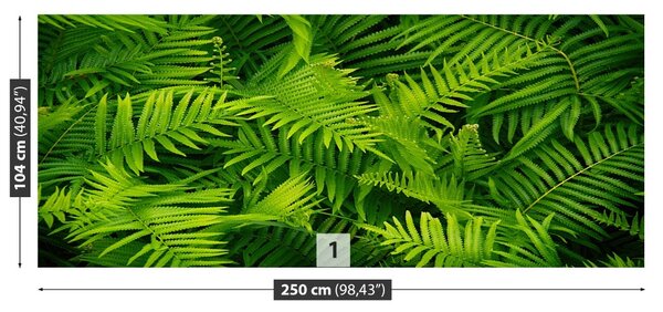 Fototapet Green Fern