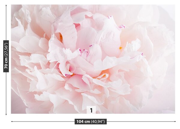 Fototapet roz Peony