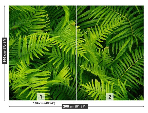 Fototapet Green Fern