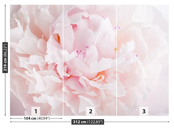 Fototapet roz Peony