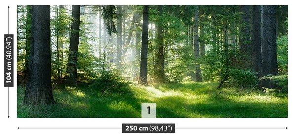 Fototapet molizi