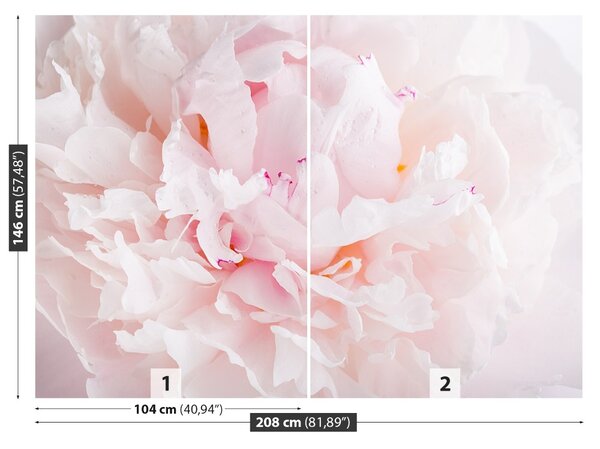 Fototapet roz Peony