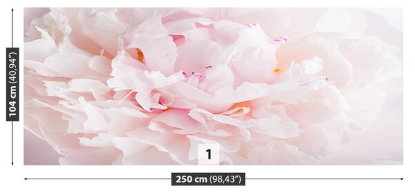 Fototapet roz Peony