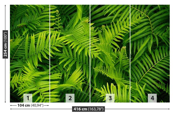 Fototapet Green Fern