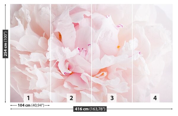 Fototapet roz Peony